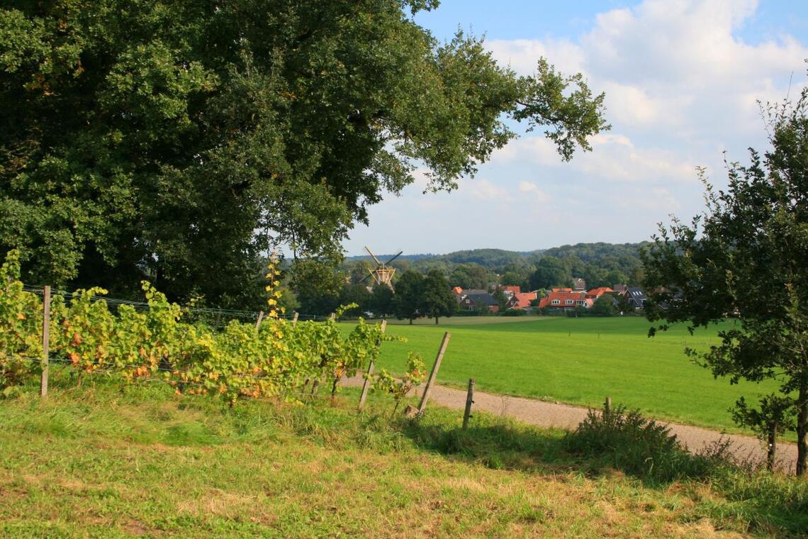 RONDJE STEDENDRIEHOEK