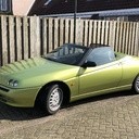 Green Spider