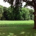 Tijdlijnfoto's