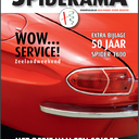 Het bezit van een Spider: Het Moeizame Mentale Proces!