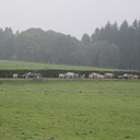 IMG_8156