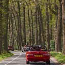 IMG_4878_bewerkt-1
