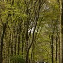 IMG_4866_bewerkt-1