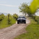 IMG_5080_bewerkt-1