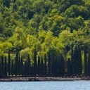 IMG_5043_bewerkt-1