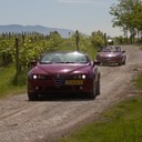 IMG_5097_bewerkt-1