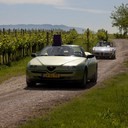 IMG_5085_bewerkt-1
