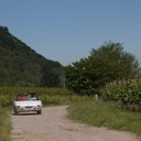 IMG_5090_bewerkt-1