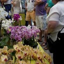 IMG_5299_bewerkt-1