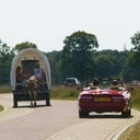 IMG_5649_bewerkt-1