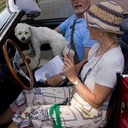 IMG_5610_bewerkt-1