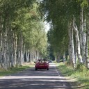 IMG_5653_bewerkt-1