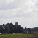 IMG_5782_bewerkt-1