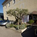 IMG_3447_bewerkt-1