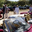 IMG_3502_bewerkt-1